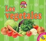 Los Vegetales (Vegetables)
