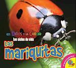 Las Mariquitas (Ladybugs)