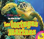 Las Tortugas Marinas (Sea Turtles)