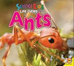 Ants