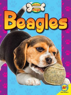 Beagles