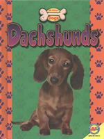 Dachshunds