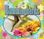 Hummingbirds