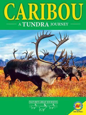 Caribou