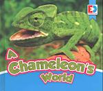 A Chameleon's World