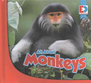 All about Monkeys