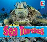 All about Sea Turtles