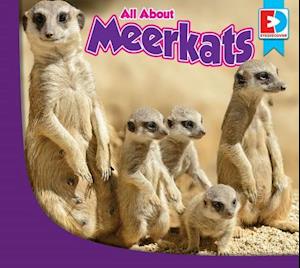 All about Meerkats