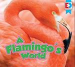 A Flamingo's World