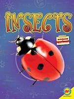 Insects