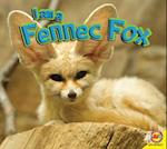 I Am a Fennec Fox