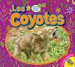 Los Coyotes (Coyotes)