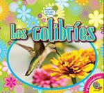 Los Colibries (Hummingbirds)