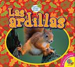 Las Ardillas (Squirrels)