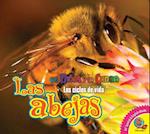 Las Abejas (Bees)