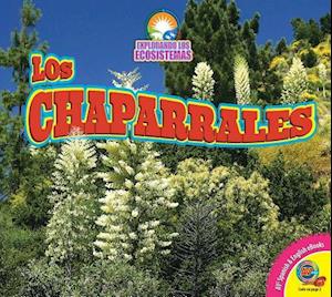 Los Chaparrales (Chaparrals)