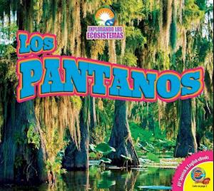 Los Pantanos (Wetlands)