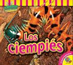 Los Ciempies (Centipedes)