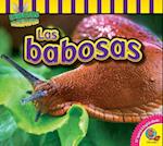 Las Babosas (Slugs)
