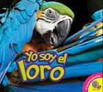 El Loro (Parrot)