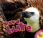 El Buitre (Vulture)