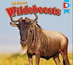 All about Wildebeests