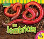 Las Lombrices (Earthworms)