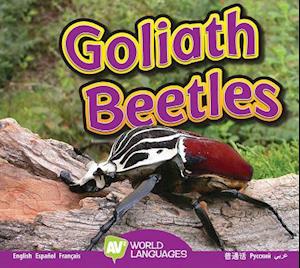 Goliath Beetles