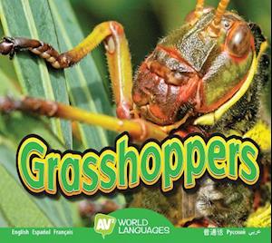 Grasshoppers