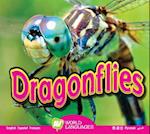 Dragonflies