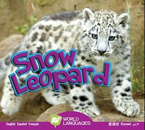 Snow Leopard