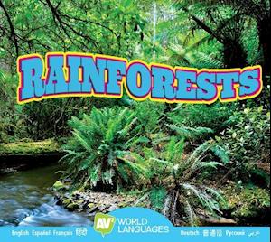 Rainforests