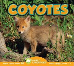 Coyotes