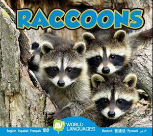 Raccoons