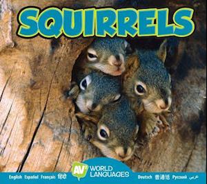 Squirrels