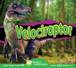 Velociraptor