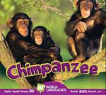 Chimpanzee