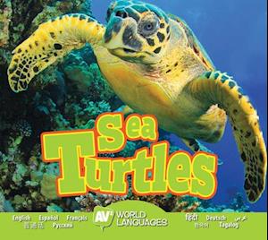 Sea Turtles