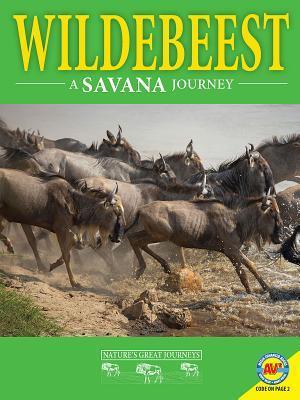 Wildebeest