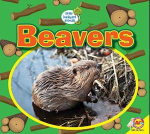 Beavers