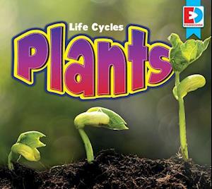 Life Cycles Plants