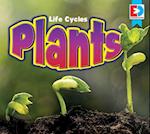 Life Cycles Plants