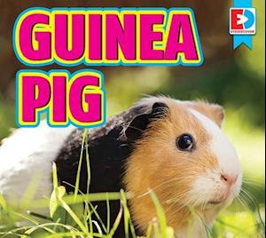 Guinea Pig