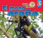 Animales de la Selva Amazonica El Mono Arana