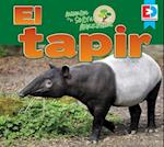 Animales de la Selva Amazonica El Tapir