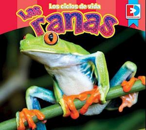 Los Ciclos de Vida Las Ranas