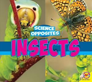 Insects