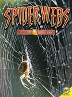 Spiderwebs