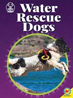 Water Rescue Dogs