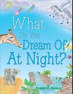 What Do You Dream of at Night?